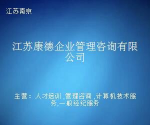 江蘇康德企業(yè)管理咨詢 專業(yè)驅(qū)動，賦能江蘇信息技術咨詢服務升級